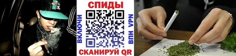 БУТИРАТ буратино Городец